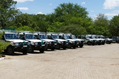 The fleet of cars.